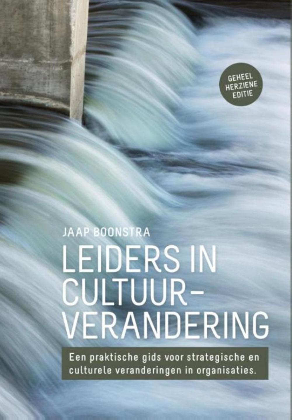 Big bigCover of Leiders in cultuurverandering