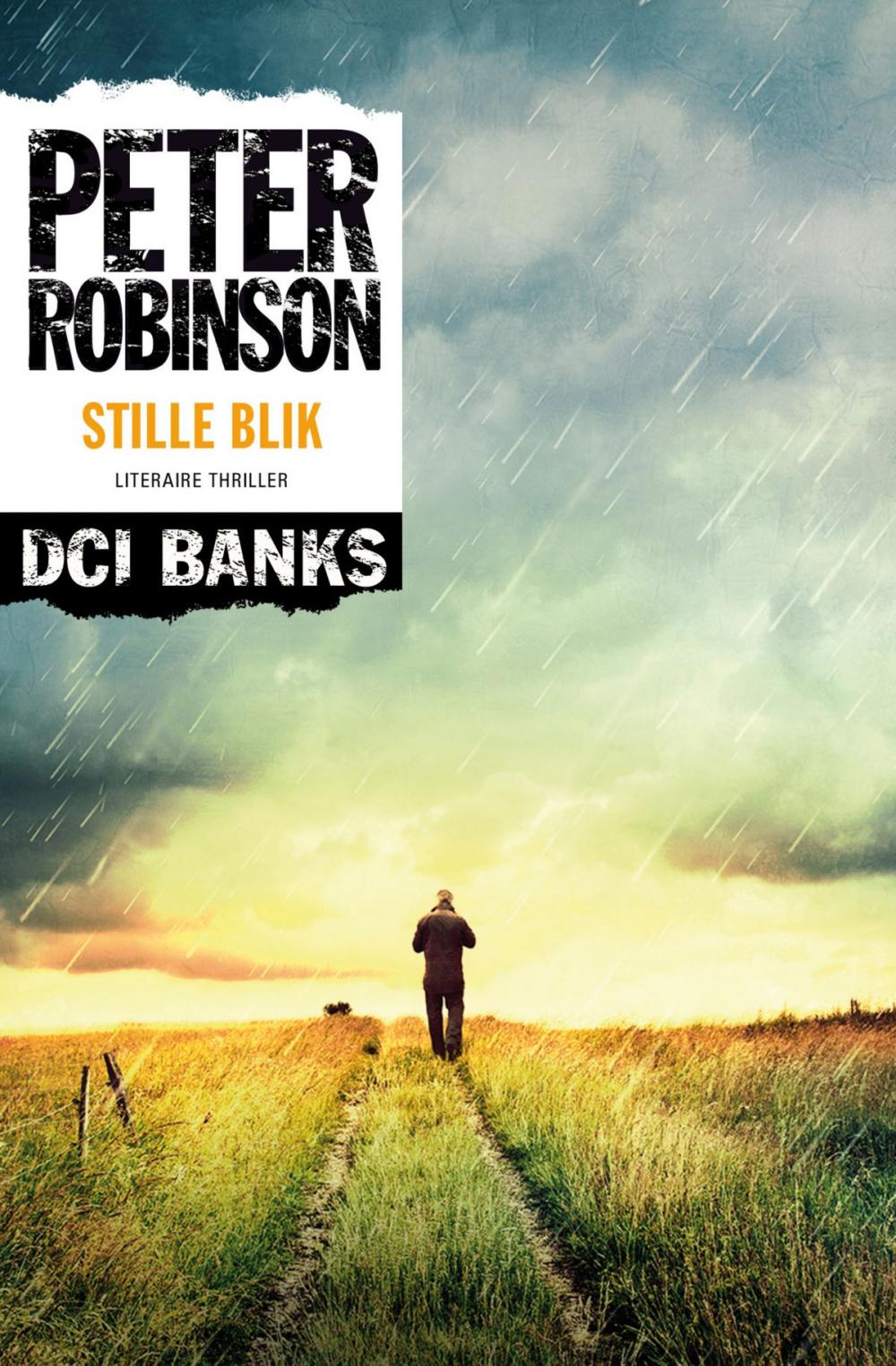 Big bigCover of Stille blik