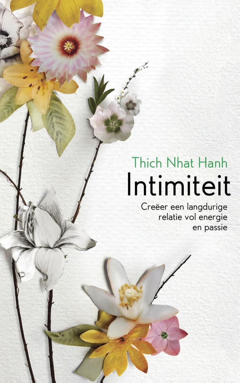 Big bigCover of Intimiteit