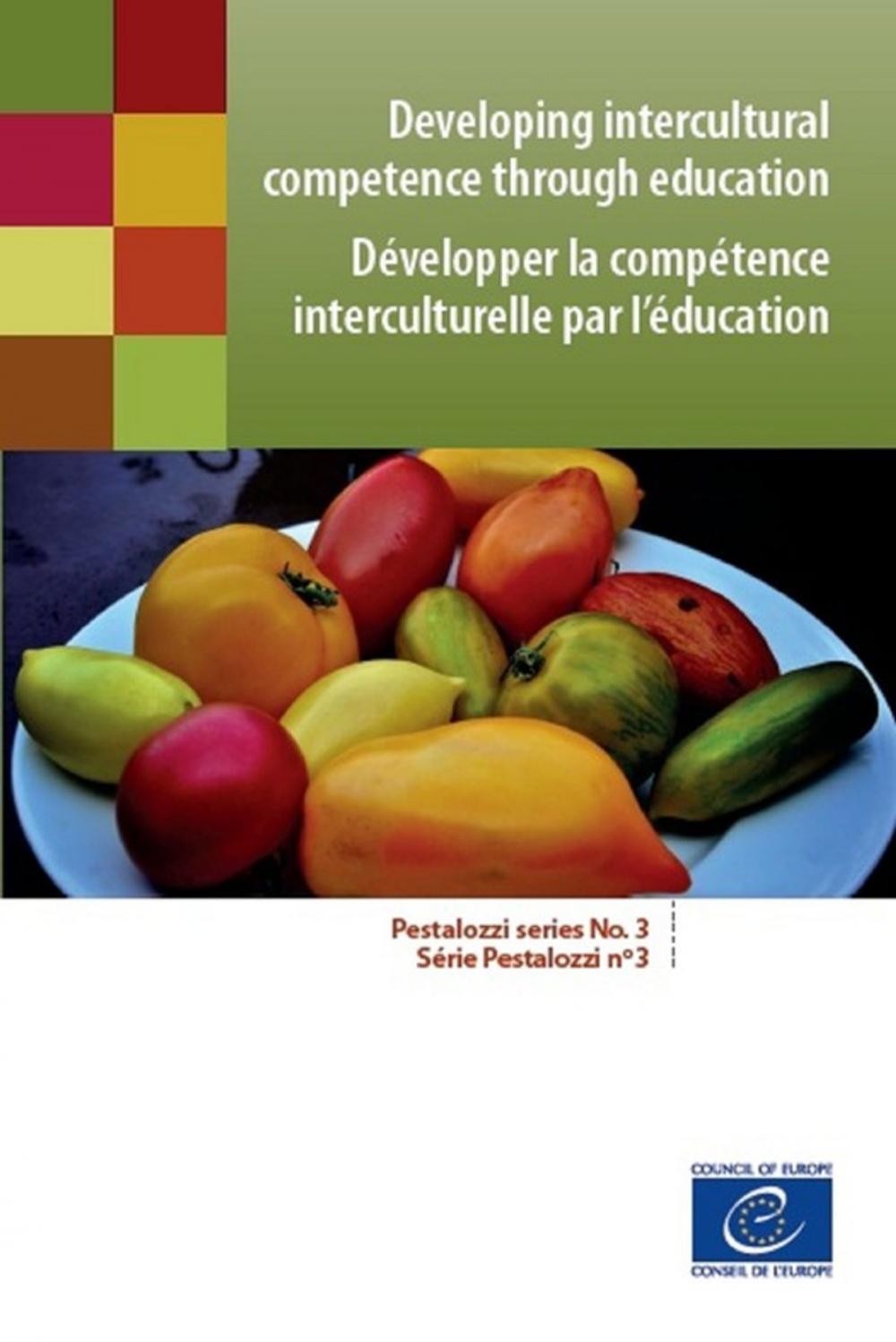 Big bigCover of Developing intercultural competence through education (Pestalozzi series No. 3)