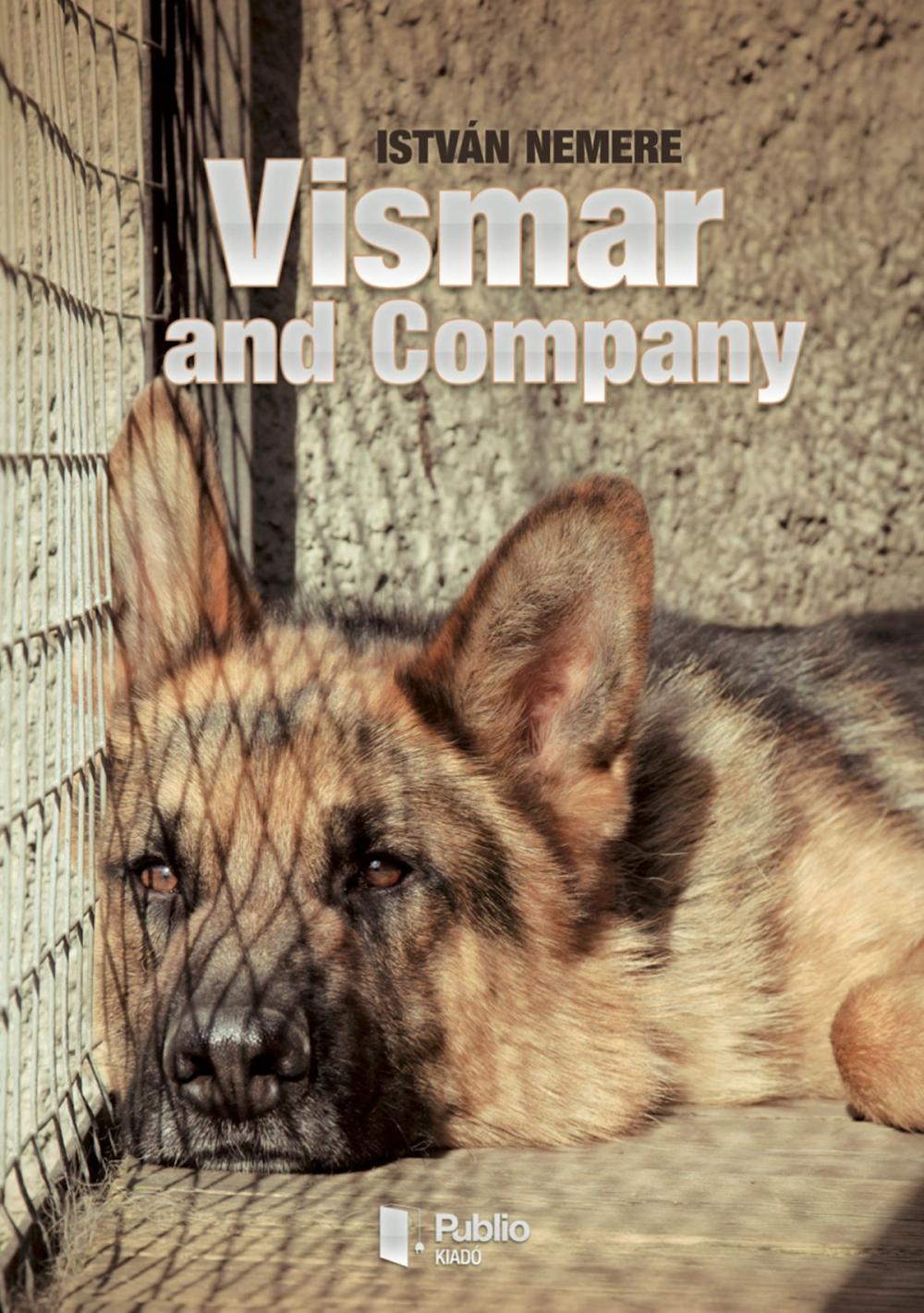 Big bigCover of Vismar and Company