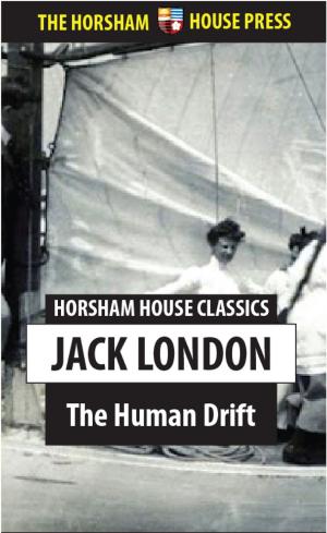 Cover of the book The Human Drift by Bidisha, Tania Hershman, Clare Sita Fisher