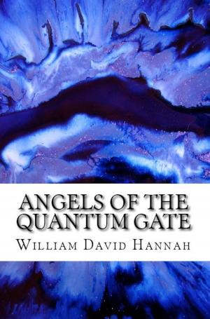 bigCover of the book Angels of the Quantum Gate by 