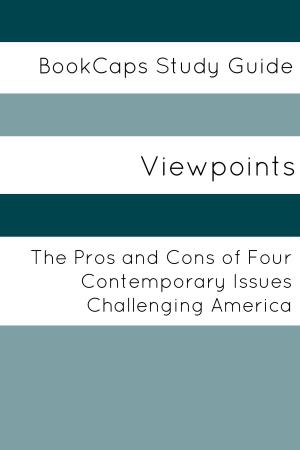 Book cover of Viewpoints: The Pros and Cons of Four Contemporary Issues Challenging America