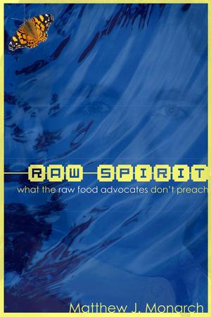 Cover of the book Raw Spirit by Frike Rothar