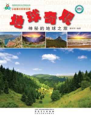 bigCover of the book 地球奇观：神秘的地球之旅 by 