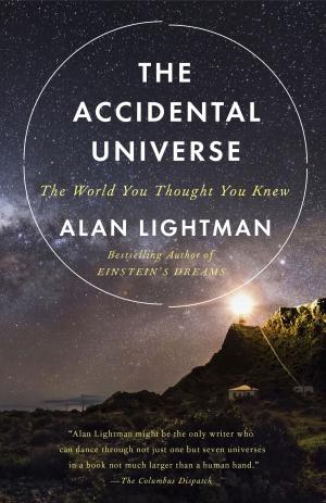 Cover of the book The Accidental Universe by James Kaplan