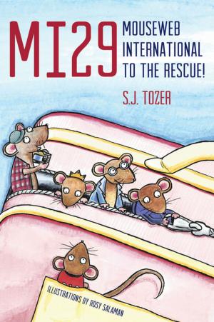 Cover of the book MI29: Mouseweb International to the Rescue! by Marion Baraitser