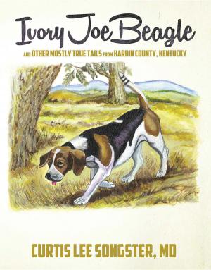 bigCover of the book Ivory Joe Beagle by 