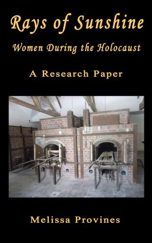 Book cover of Rays of Sunshine: Women During the Holocaust