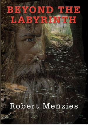 Cover of the book Beyond the Labyrinth by Les Mason