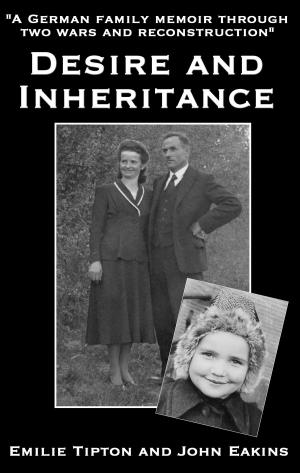 Cover of the book Desire and Inheritance by magon mitchell
