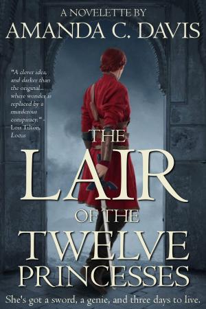 Cover of the book The Lair of the Twelve Princesses by Teresa Vanmeter