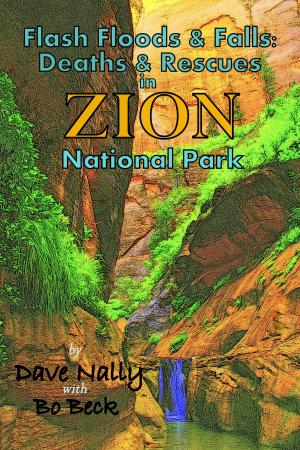 Cover of the book Flash Floods & Falls: Deaths & Rescues in Zion National Park by Rhonda Yocom Gryspos