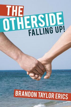 bigCover of the book The Otherside by 