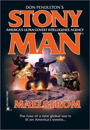 Cover of the book Maelstrom by Soeren Dypitee