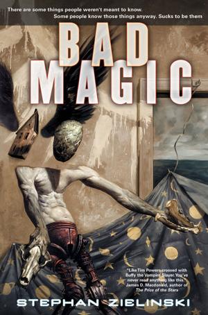 Cover of the book Bad Magic by Cherie Priest