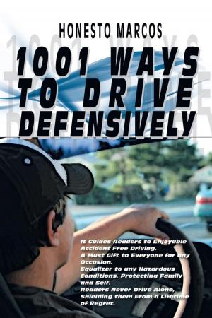 Cover of the book 1001 Ways to Drive Defensively by Prof. Leonid M. Polyakov  PH.D.
