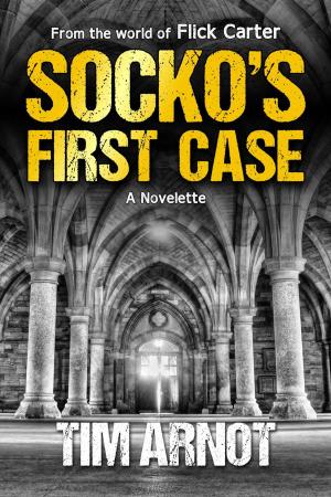 Book cover of Socko's First Case
