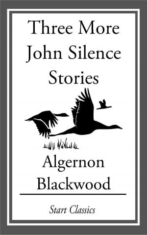 Cover of Three More John Silence Stories