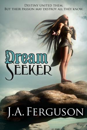 Cover of the book Dream Seeker by Jacquelyn Cook