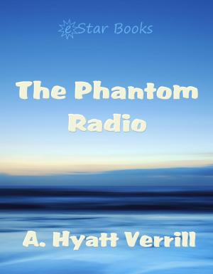 Cover of the book The Phantom Radio by Maya Stirling
