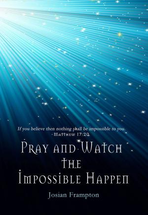 Cover of the book Pray and Watch the Impossible Happen by Tim Wuebker