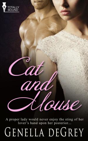Cover of the book Cat and Mouse by Donna Gallagher