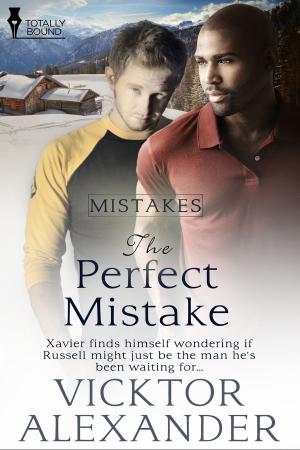 Cover of the book The Perfect Mistake by R.A. Padmos