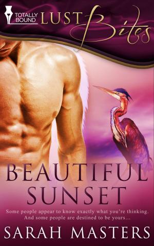 Cover of the book Beautiful Sunset by T.A. Chase