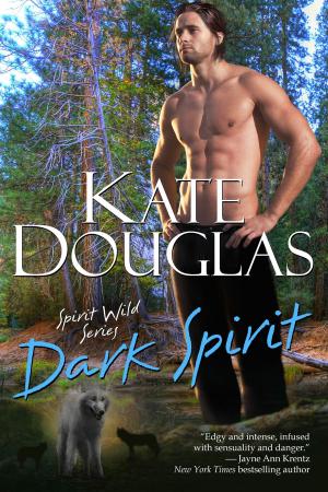 Cover of the book Dark Spirit by Kathleen Bridge