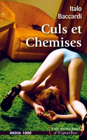 Cover of the book Culs et Chemises by J. Van styk, Christophe Bier, Lady imperia, Xavier d' Estanges