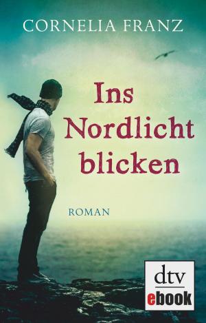 Cover of the book Ins Nordlicht blicken by Asta Scheib