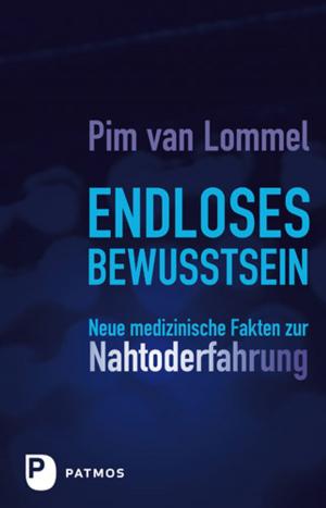 Cover of the book Endloses Bewusstsein by Jürgen Moltmann