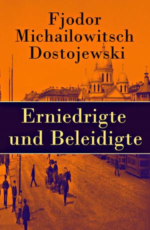 Book cover of Erniedrigte und Beleidigte