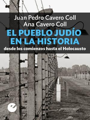 Cover of the book El pueblo judío en la historia by Iván Zaro