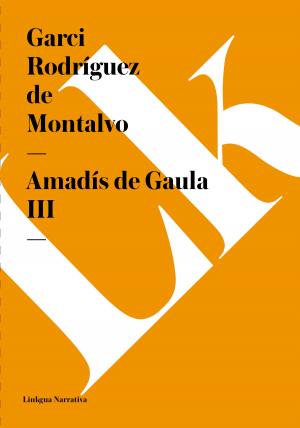 Cover of the book Amadís de Gaula III by Alonso Castillo Solórzano