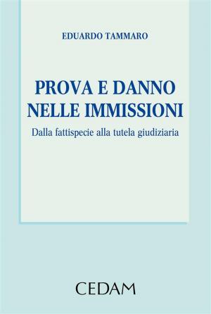 Cover of the book Prova e danno nelle immissioni by PIERGALLINI CARLO, VIGANO' FRANCESCO, VIZZARDI MATTEO, VERRI ALESSANDRA