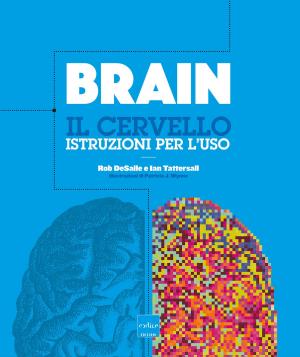 Cover of the book Brain. Il cervello. Istruzioni per l'uso by Raoul Martinez