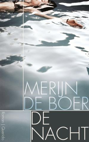Cover of the book De nacht by Ton van Reen