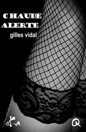 Cover of the book Chaude alerte by Alexandra Amalova