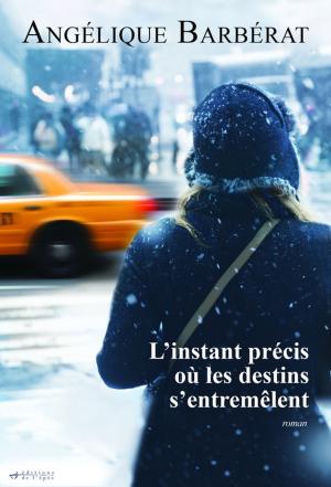Cover of the book L'instant précis où les destins s'entremêlent by Sandrine Collette