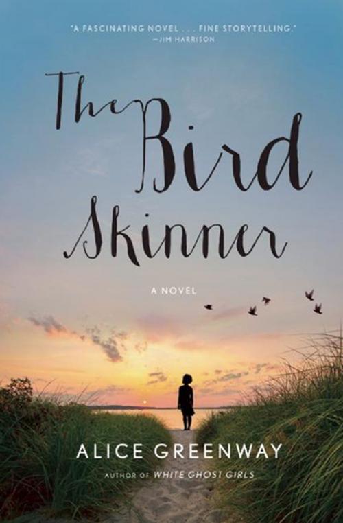 Cover of the book The Bird Skinner by Alice Greenway, Grove Atlantic