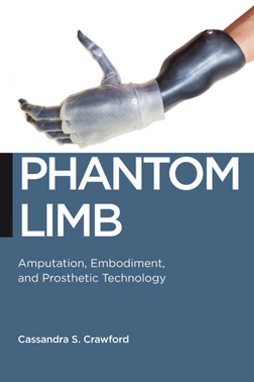 Cover of the book Phantom Limb by Cassandra S. Crawford, NYU Press