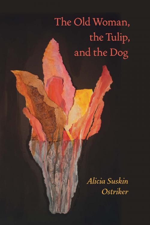 Cover of the book The Old Woman, the Tulip, and the Dog by Alicia Suskin Ostriker, University of Pittsburgh Press