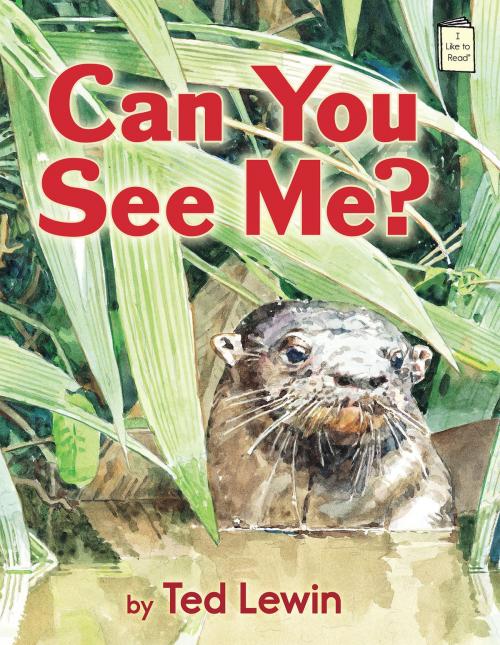 Cover of the book Can You See Me? by Ted Lewin, Holiday House