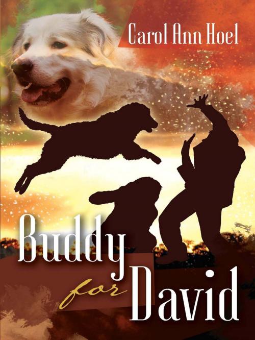 Cover of the book Buddy for David by Carol Ann Hoel, Crosslink Publishing