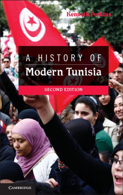 Cover of the book A History of Modern Tunisia by Kenneth Perkins, Cambridge University Press