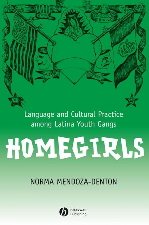 Cover of the book Homegirls by Norma Mendoza-Denton, Wiley