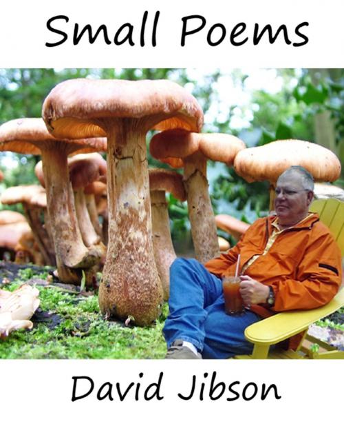 Cover of the book Small Poems by David Jibson, Lulu.com